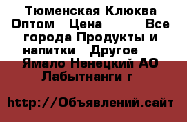 Тюменская Клюква Оптом › Цена ­ 200 - Все города Продукты и напитки » Другое   . Ямало-Ненецкий АО,Лабытнанги г.